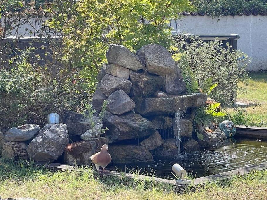 Les Lys De Rosie - Maison Familiale De Plain Pied Campagne Boisset-lès-Montrond 외부 사진